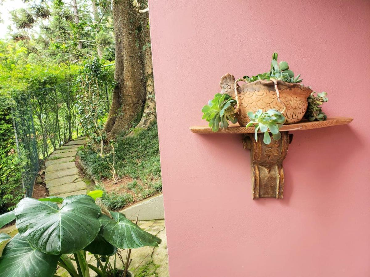Casa Fazenda Inglesa - Anexo Villa Petrópolis Eksteriør bilde